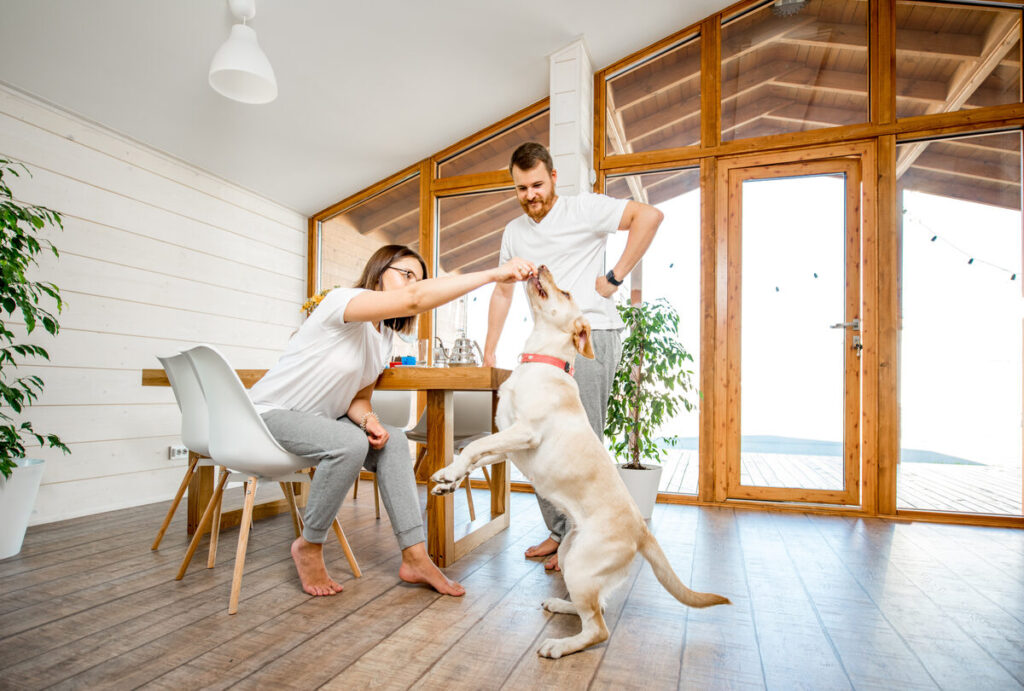 Living in Cottonwood Lanes, Brighton, CO: A Quiet, Spacious Neighborhood Guide